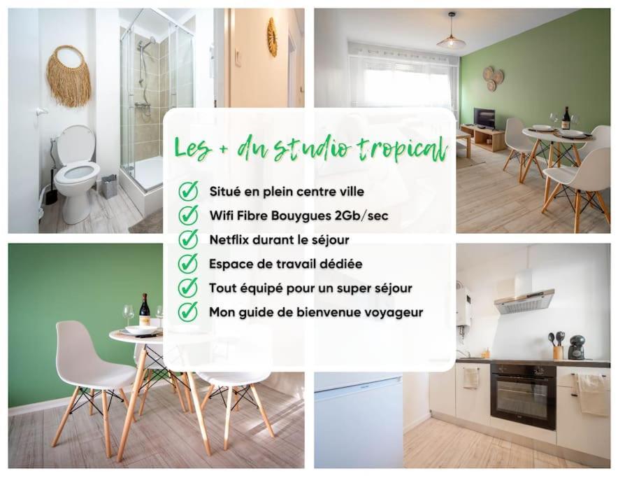 Le Studio Tropical Chalon-sur-Saône Dış mekan fotoğraf